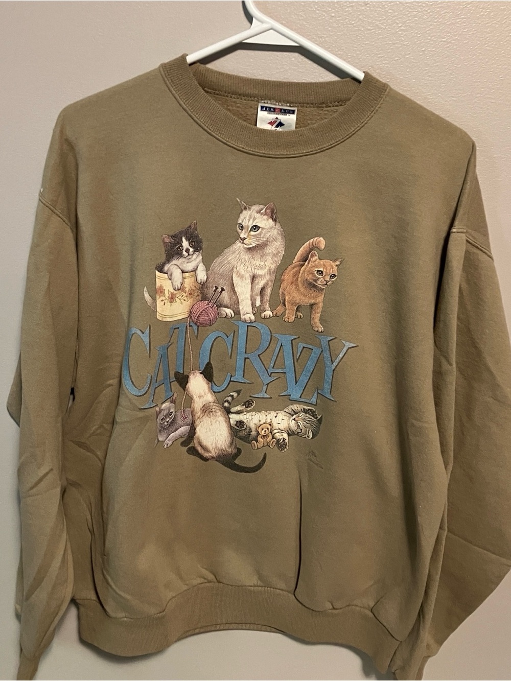 Cat Crazy Graphic Sweatshirt - Khaki Women's Pullover